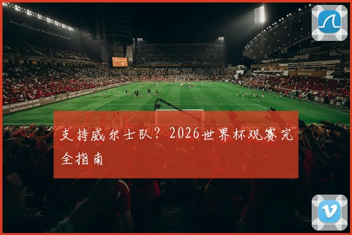 支持威尔士队？2026世界杯观赛完全指南